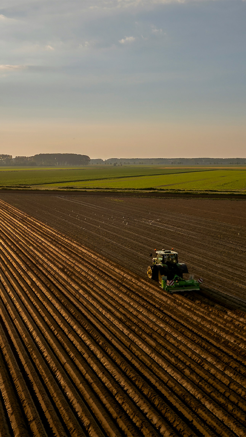 Tractor in field